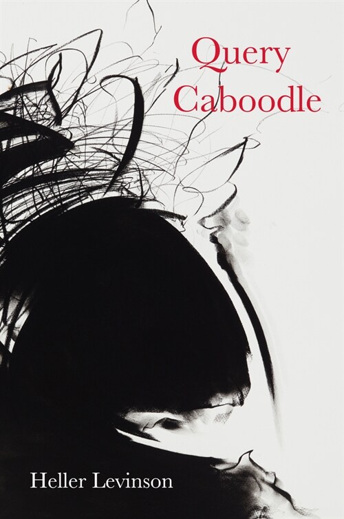 Query Caboodle (Paperback)