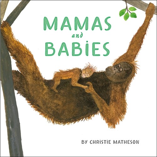 Mamas and Babies (Hardcover)