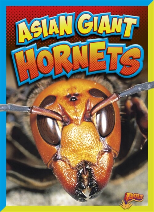 Asian Giant Hornets (Library Binding)