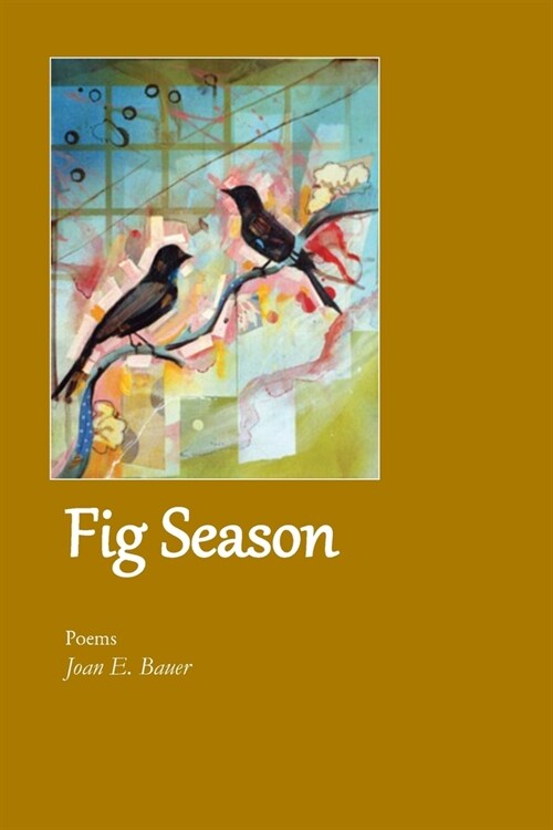 Fig Season (Paperback)