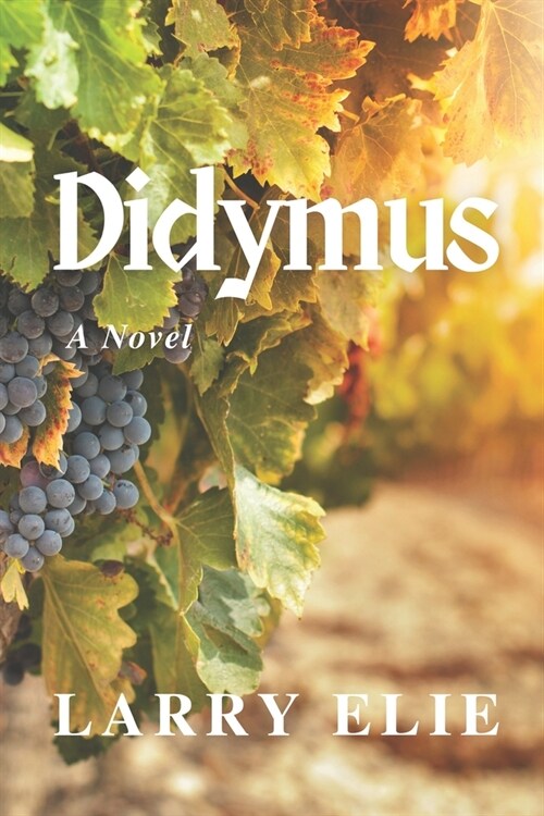 Didymus (Paperback)