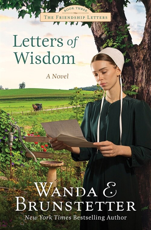 Letters of Wisdom: Friendship Letters #3 Volume 3 (Paperback)