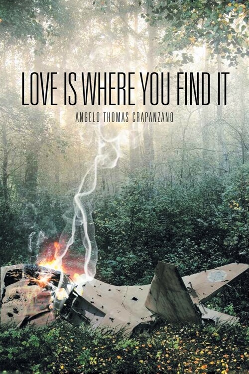 Love Is Where You Find It (Paperback)