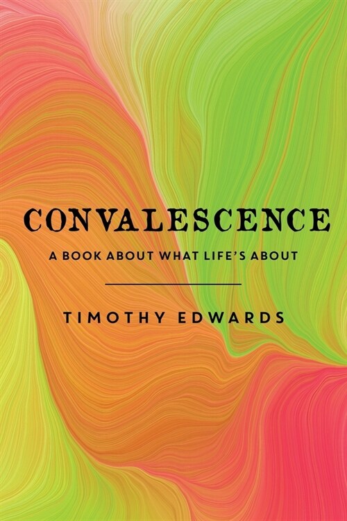 Convalescence: A Book About What Lifes About (Paperback)