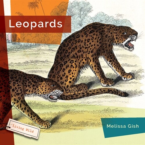 Leopards (Library Binding)