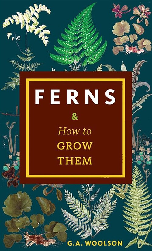 Ferns & How to Grow Them (Paperback)