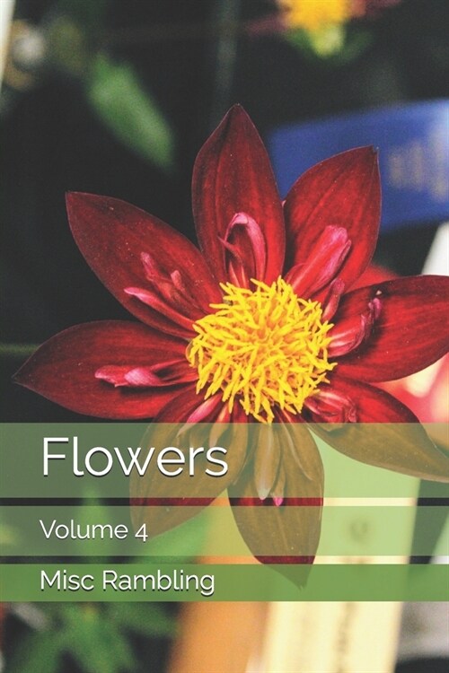 Flowers: Volume 4 (Paperback)