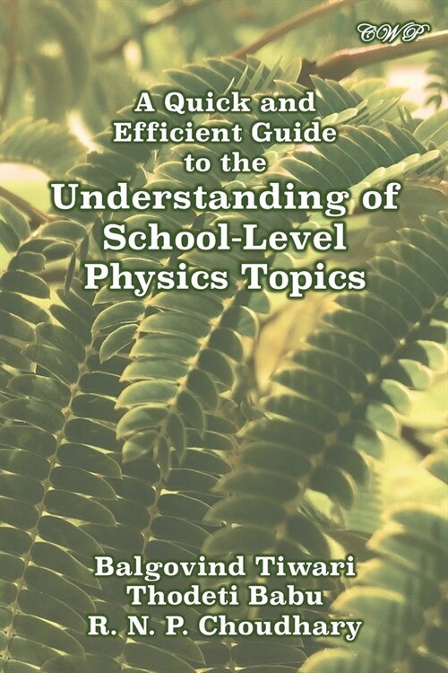 A Quick and Efficient Guide to the Understanding of School-Level Physics Topics (Paperback)