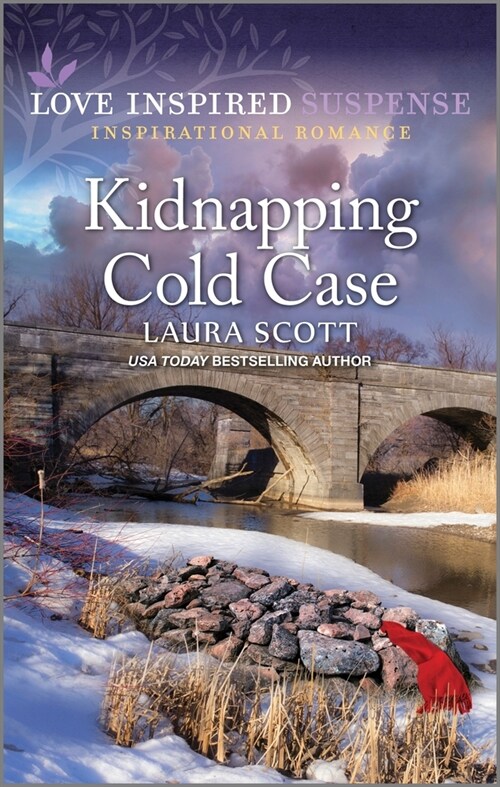 Kidnapping Cold Case (Mass Market Paperback, Original)