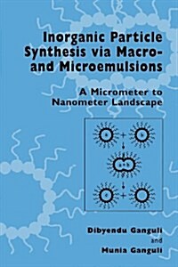 Inorganic Particle Synthesis Via Macro and Microemulsions: A Micrometer to Nanometer Landscape (Paperback, Softcover Repri)