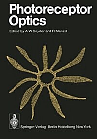 Photoreceptor Optics (Paperback)