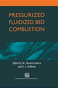 Pressurized Fluidized Bed Combustion (Paperback)