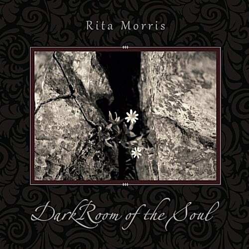 Darkroom of the Soul (Hardcover)