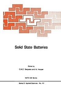 Solid State Batteries (Paperback)