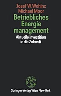 Betriebliches Energiemanagement: Aktuelle Investition in Die Zukunft (Paperback, Softcover Repri)