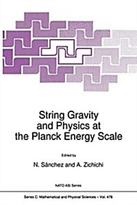 String Gravity and Physics at the Planck Energy Scale (Paperback, Softcover Repri)