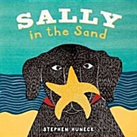 Sally in the Sand (Board Books)