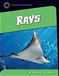 Rays (Library Binding)