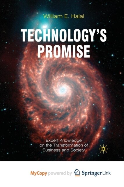 Technologys Promise : Expert Knowledge on the Transformation of Business and Society (Paperback)