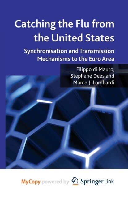 Catching the Flu from the United States : Synchronisation and Transmission Mechanisms to the Euro Area (Paperback)