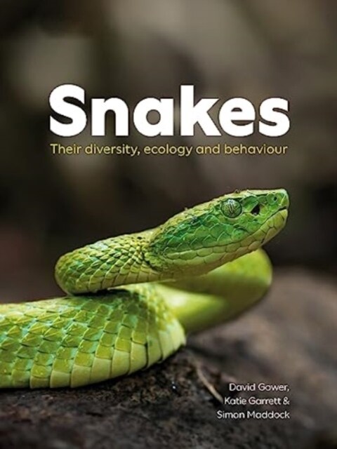 Snakes : Their diversity, ecology and behaviour (Paperback)