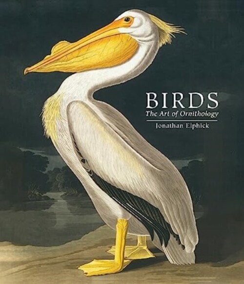 Birds : The Art of Ornithology (Pocket edition) (Hardcover)