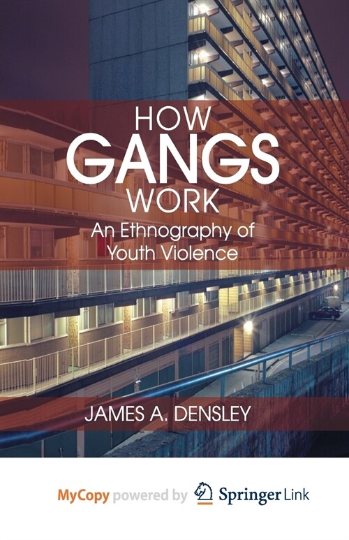 How Gangs Work : An Ethnography of Youth Violence (Paperback)