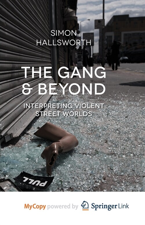 The Gang and Beyond : Interpreting Violent Street Worlds (Paperback)