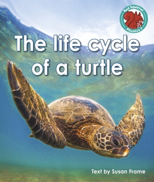 The life cycle of a turtle (Paperback)