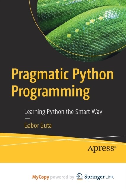 Pragmatic Python Programming : Learning Python the Smart Way (Paperback)