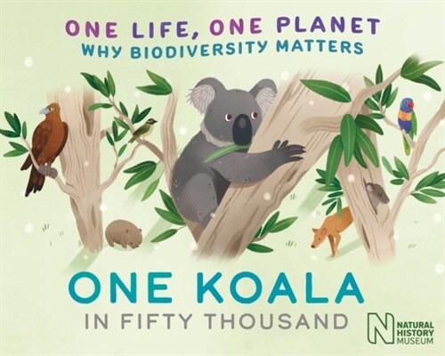 One Life, One Planet: One Koala in Fifty Thousand : Why Biodiversity Matters (Hardcover)