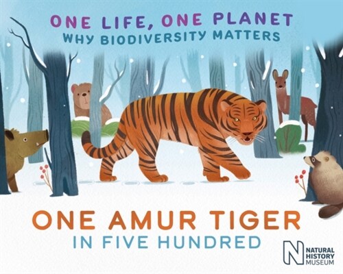 One Life, One Planet: One Amur Tiger in Five Hundred : Why Biodiversity Matters (Hardcover)