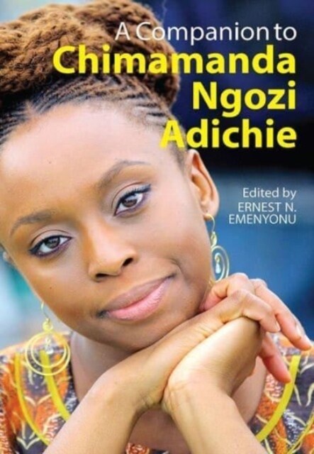 A Companion to Chimamanda Ngozi Adichie (Paperback)