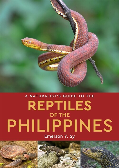 A Naturalists Guide to the Reptiles of the Philippines (Paperback)