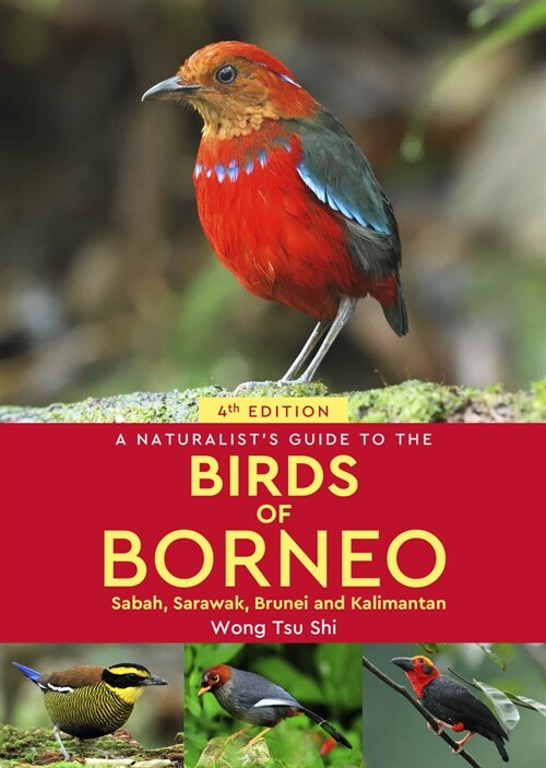 A Naturalists Guide to the Birds of Borneo : Sabah, Sarawak, Brunei and Kalimantan (Paperback)