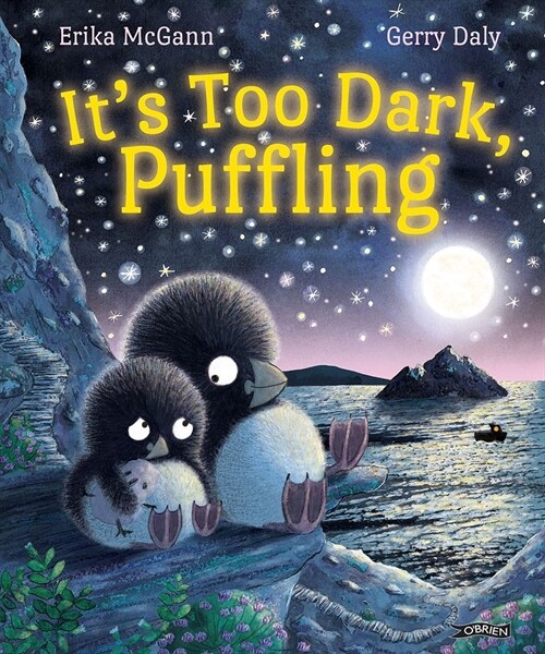 Its Too Dark, Puffling (Hardcover)