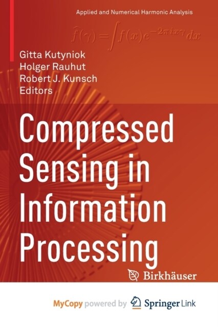 Compressed Sensing in Information Processing (Paperback)