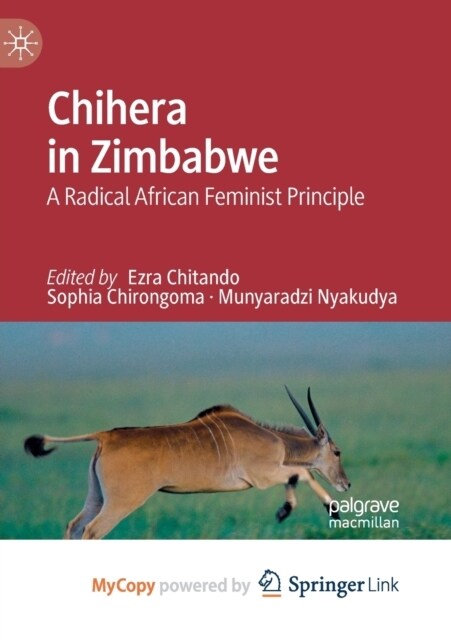 Chihera in Zimbabwe : A Radical African Feminist Principle (Paperback)