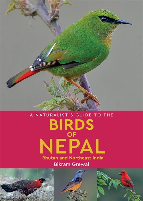 A Naturalists Guide to the Birds of Nepal (Paperback)