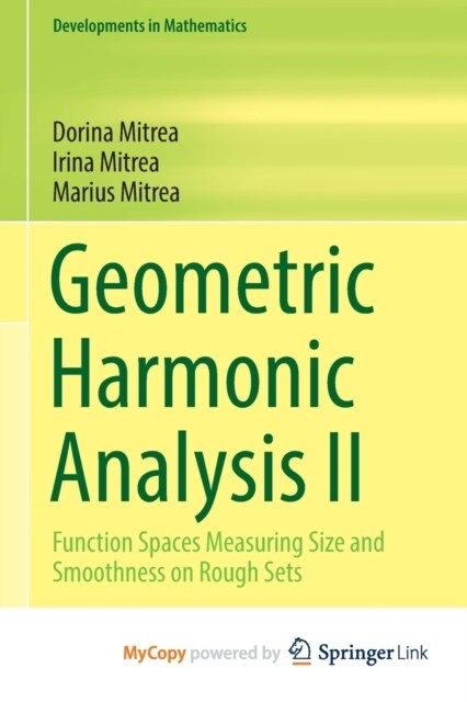 Geometric Harmonic Analysis II : Function Spaces Measuring Size and Smoothness on Rough Sets (Paperback)