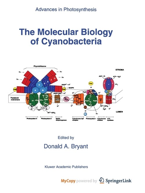 The Molecular Biology of Cyanobacteria (Paperback)