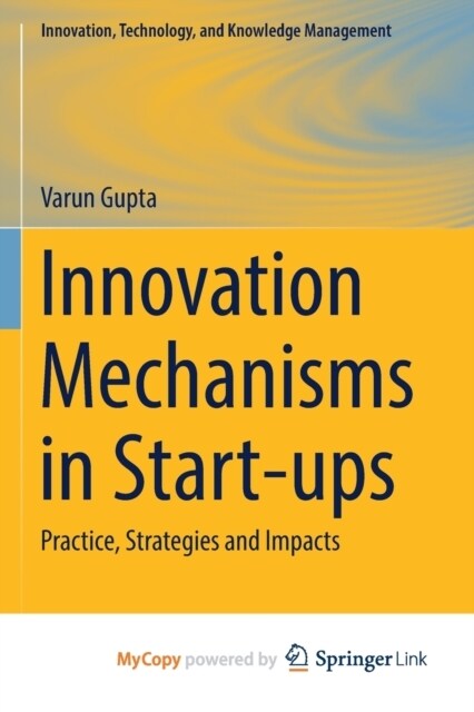 Innovation Mechanisms in Start-ups : Practice, Strategies and Impacts (Paperback)