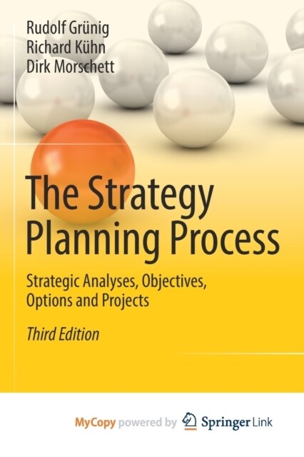 The Strategy Planning Process : Strategic Analyses, Objectives, Options and Projects (Paperback)