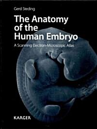 The Anatomy of the Human Embryo: A Scanning Electron-Microscopic Atlas (Hardcover)