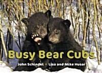 Busy Bear Cubs (Board Books)