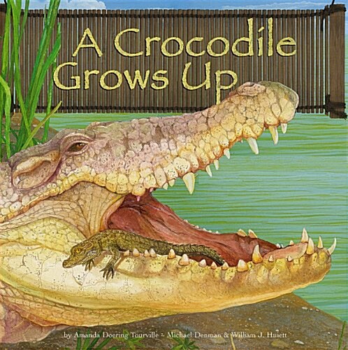 A Crocodile Grows Up (Paperback)