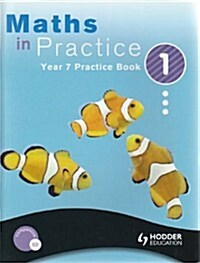Maths in Practice 1 (Paperback, CD-ROM, Illustrated)