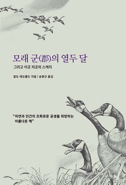 [중고] 모래 군(郡)의 열두 달