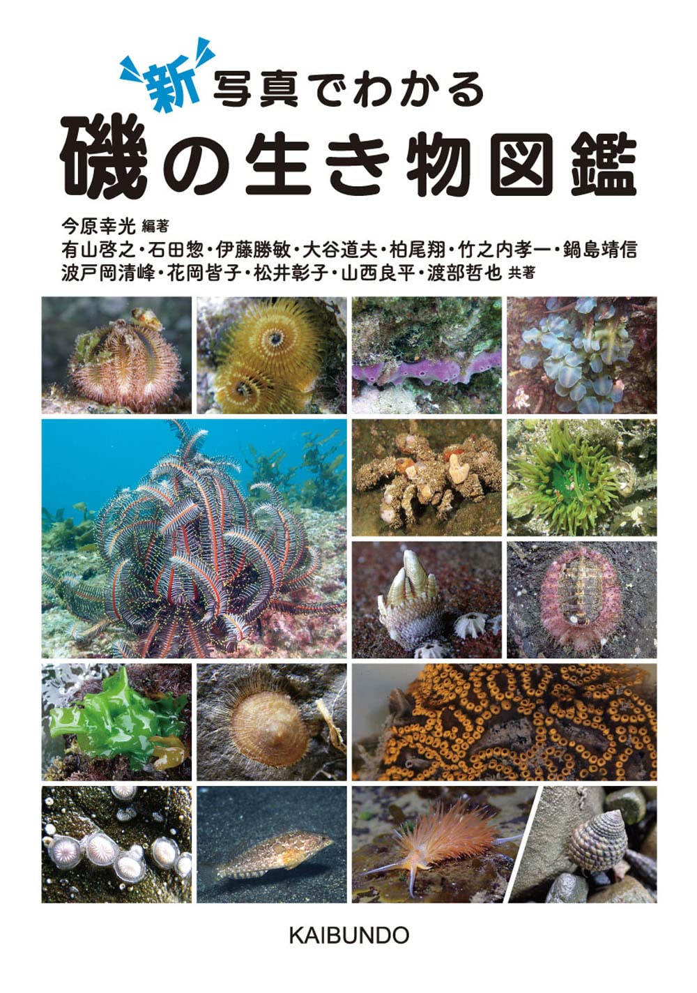 新寫眞でわかる磯の生き物圖鑑