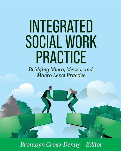 Integrated Social Work Practice: Bridging Micro, Mezzo, and Macro Level Practice (Paperback)